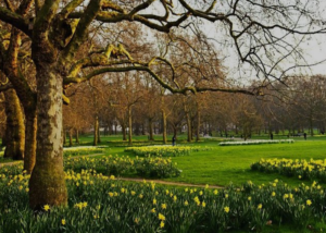 St. James Park