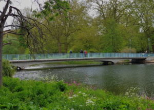 St. James Park