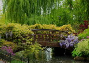 Regent's Park