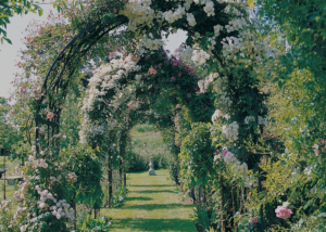 Regent's Park