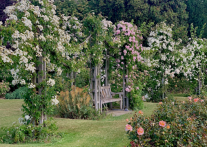 Regent's Park