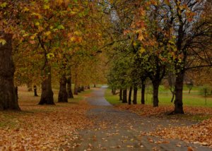 tranquil spots in London