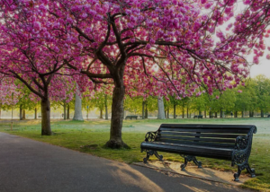 best parks in London