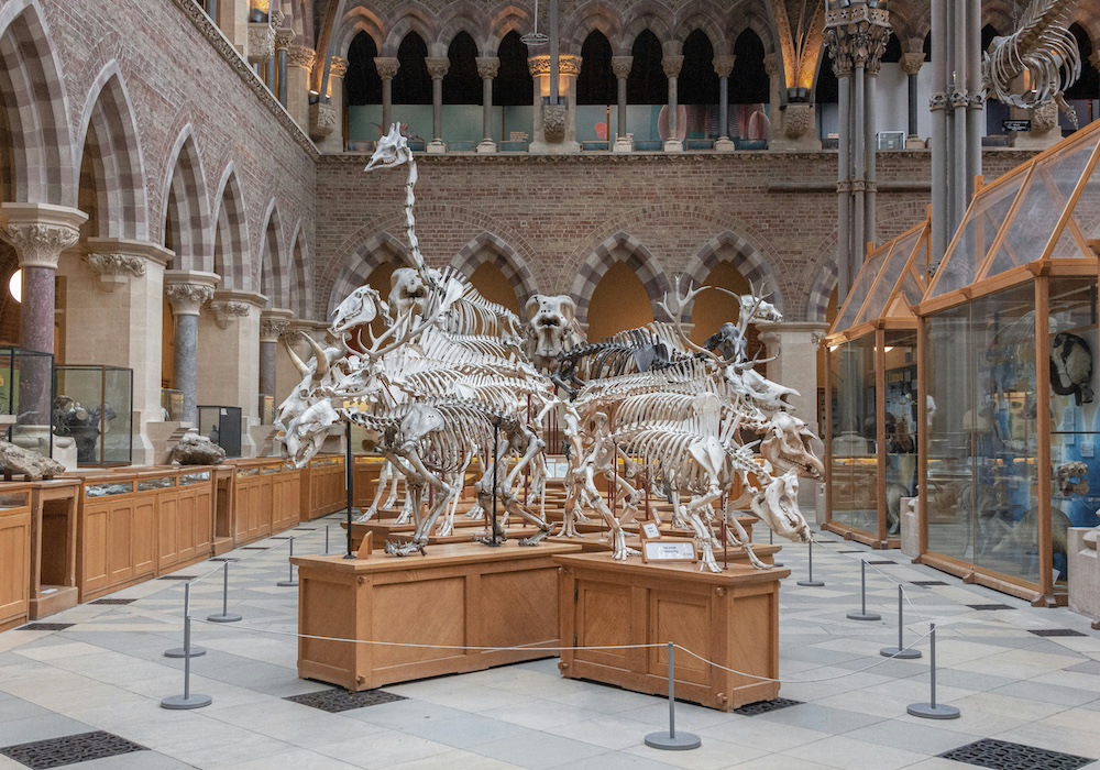 Oxford attractions