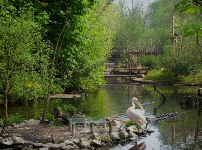 must-see attractions in Lille