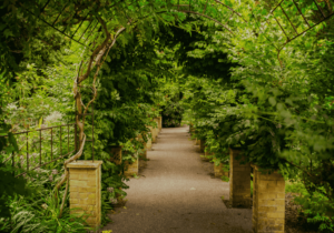 Isle of Wight Ventnor Botanic Gardens 