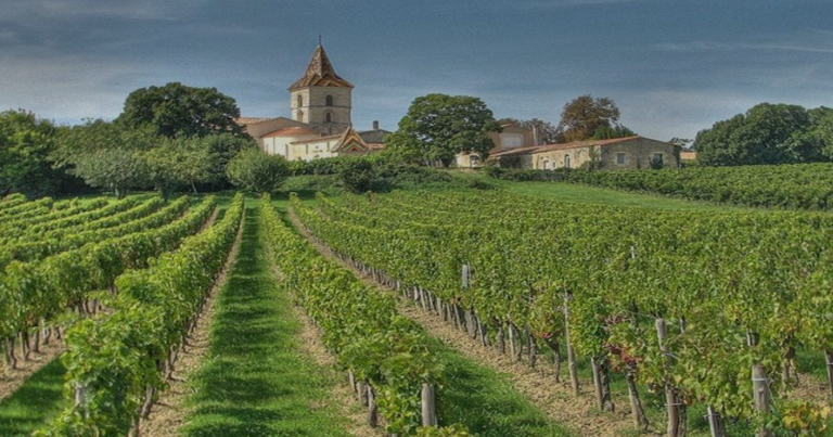 Wine tasting in Bordeaux 