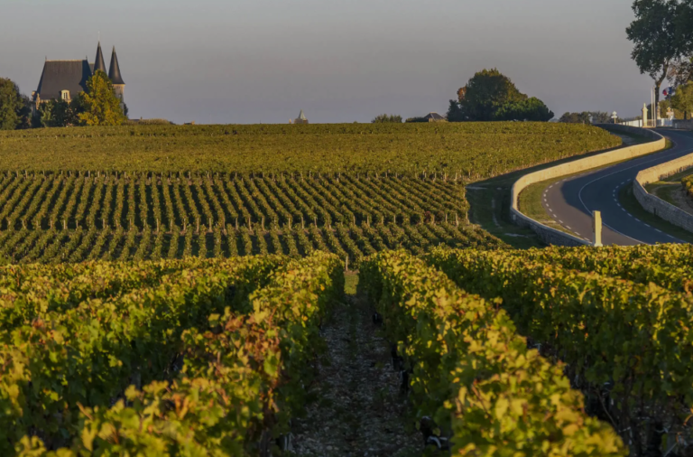 French wine region