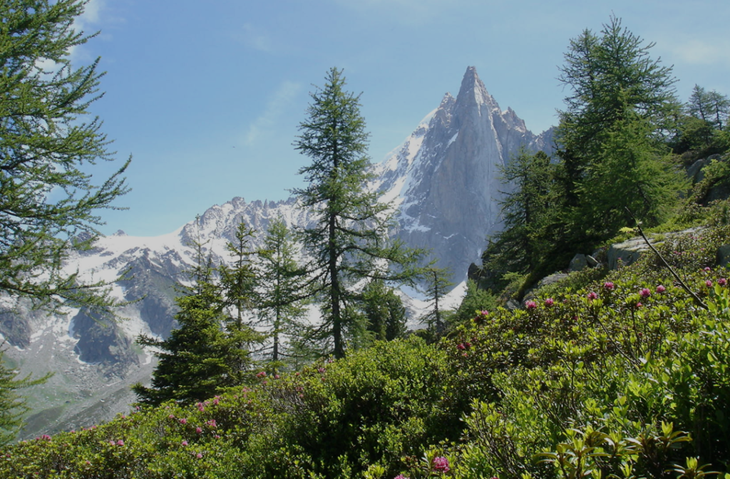 Chamonix Aiguilles Rouges Nature Reserve​