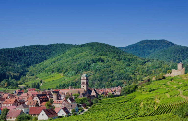 Alsace Wine Route