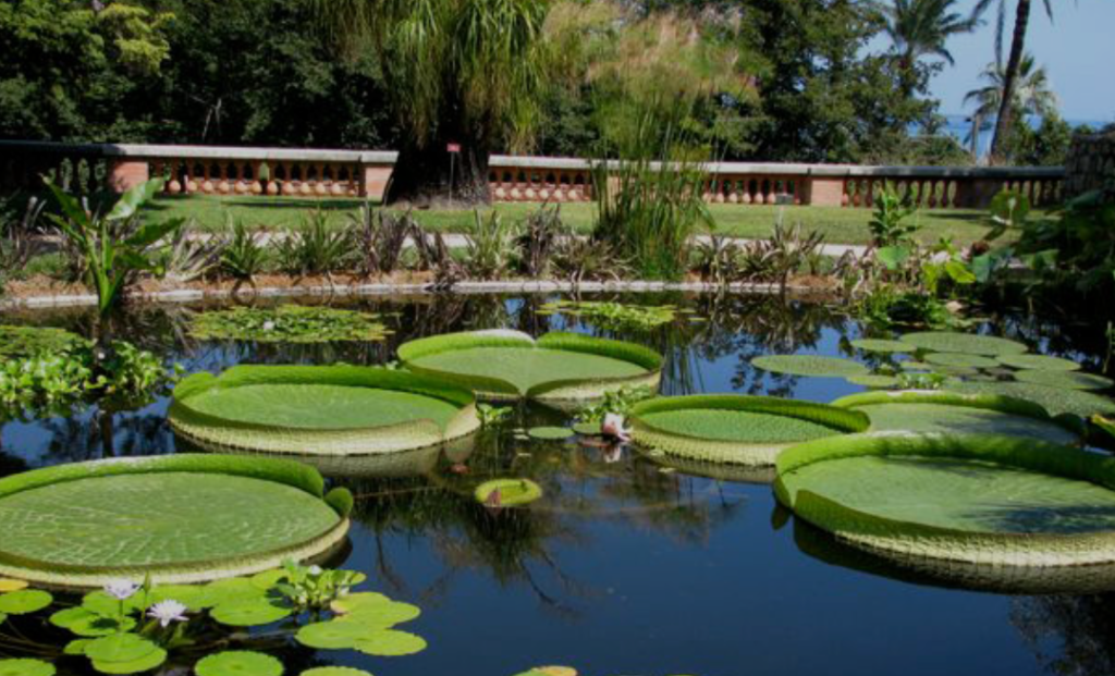 Val Rahmeh Botanical Garden​​, menton